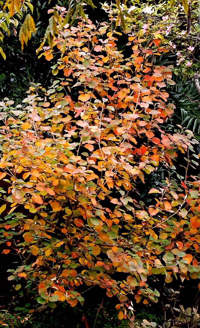 e0107030_10495649.jpg