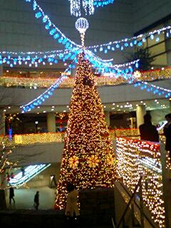 a0058433_156191.jpg