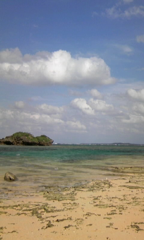 d0062933_3424347.jpg