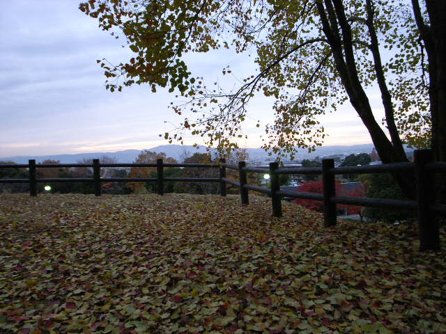 d0105133_2150147.jpg
