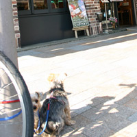 d0033734_17341365.jpg