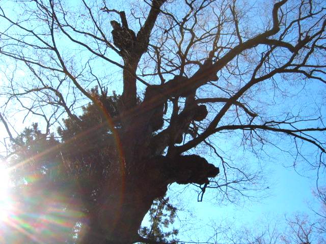 a0095337_0471459.jpg