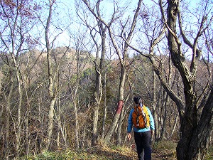 f0065941_21391488.jpg
