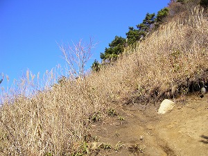 f0065941_229785.jpg