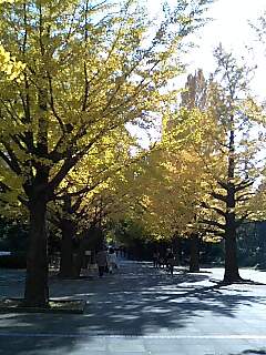 e0105846_21221538.jpg