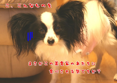 d0013149_033652.jpg