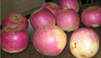 d0016750_22451142.jpg