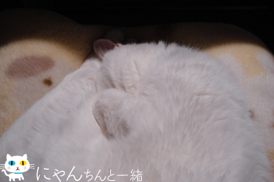 e0031853_1138375.jpg