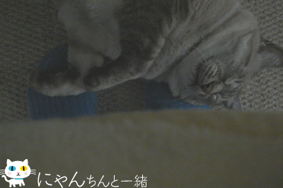e0031853_11385787.jpg