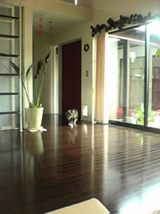 c0051759_11362686.jpg
