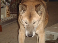 c0108460_2091545.jpg