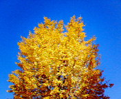 a0077063_14433826.jpg