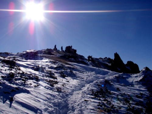 b0050067_23535199.jpg