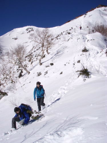 b0050067_23593321.jpg