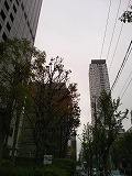 e0081772_9102462.jpg