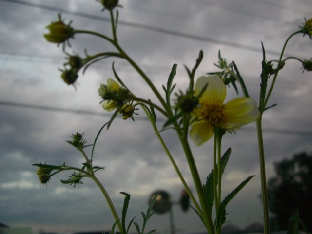f0137275_513252.jpg