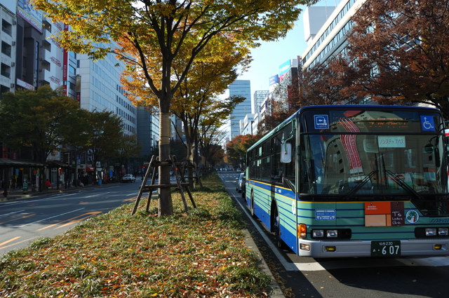 b0102780_11392843.jpg
