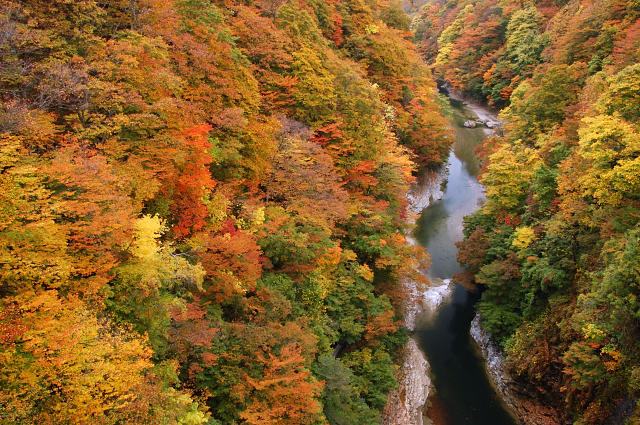 c0134295_20403249.jpg
