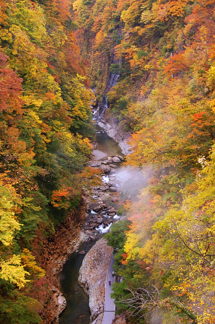 c0134295_2041255.jpg