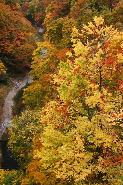 c0134295_20415523.jpg