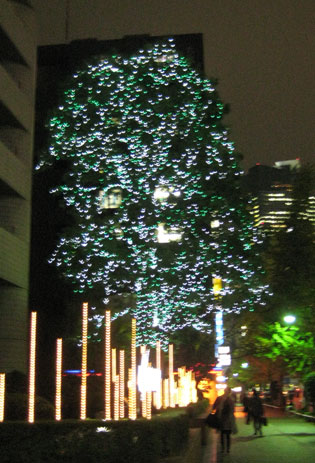 b0097200_2385937.jpg