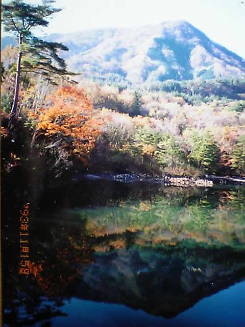 f0137402_11302910.jpg