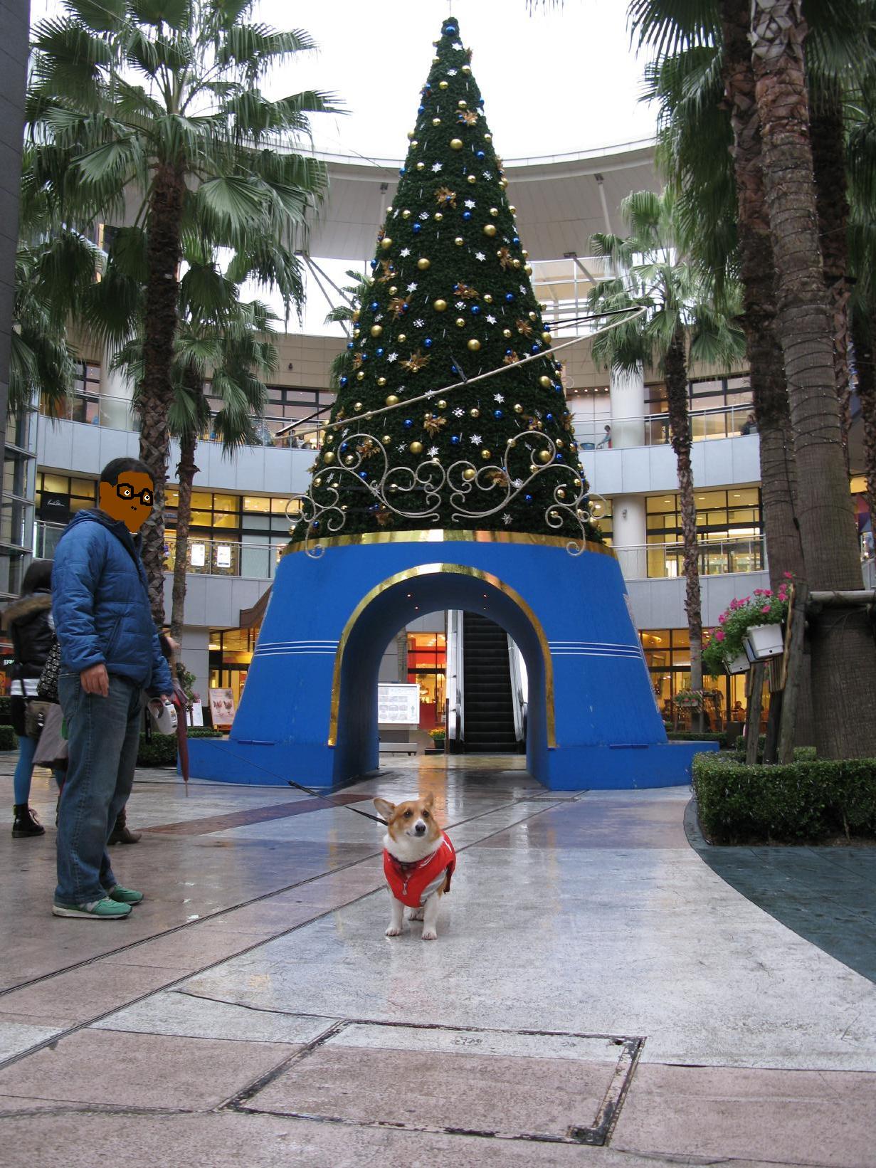 a0024004_223523.jpg