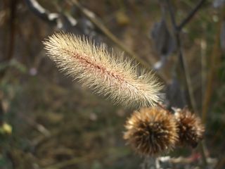 b0061107_2043357.jpg