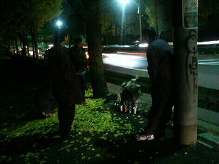 f0127408_23304364.jpg