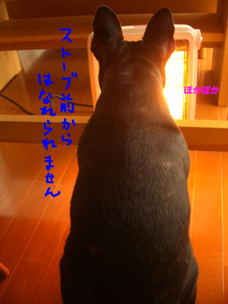 c0113109_23273579.jpg
