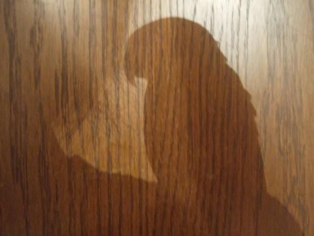 c0133013_23592780.jpg