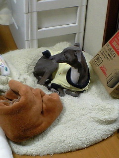 c0003217_195319.jpg