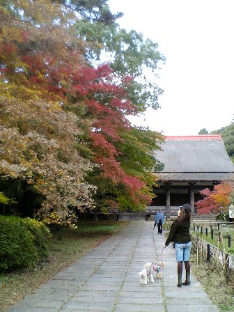e0119017_231653.jpg