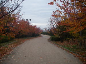 f0109919_1046073.jpg