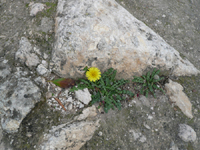 c0112823_17101570.jpg