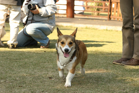 e0071225_9335095.jpg
