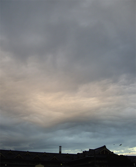 f0128527_21164716.jpg