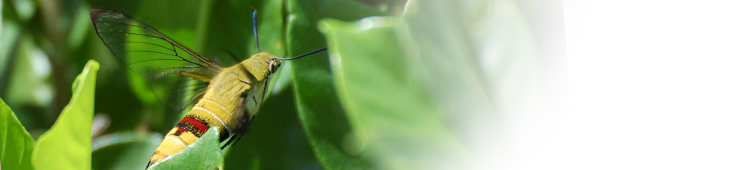 a0059328_17104972.jpg