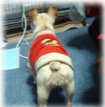 b0078030_22161592.gif