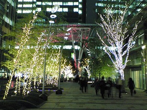 e0091230_2534878.jpg