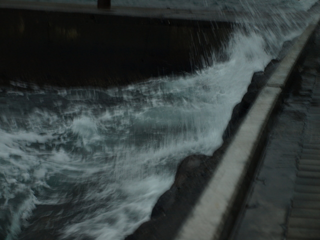 f0154033_081286.jpg