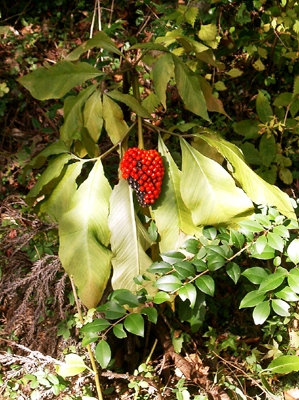 a0101536_13181379.jpg