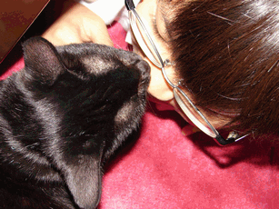 c0136736_22243821.gif