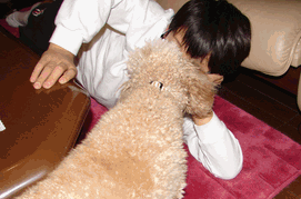 c0136736_22245420.gif