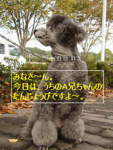 c0136736_22251732.gif
