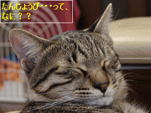 c0136736_2226879.gif