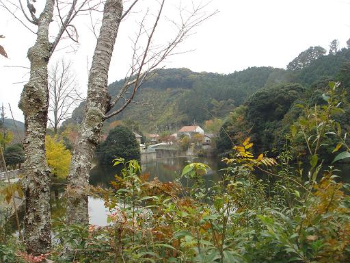 e0057640_1693656.jpg
