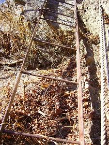 f0065941_0244550.jpg