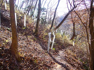 f0065941_0354860.jpg