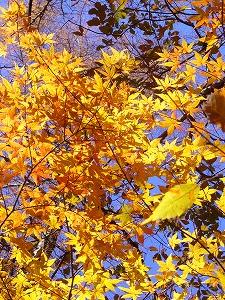 f0065941_0361421.jpg